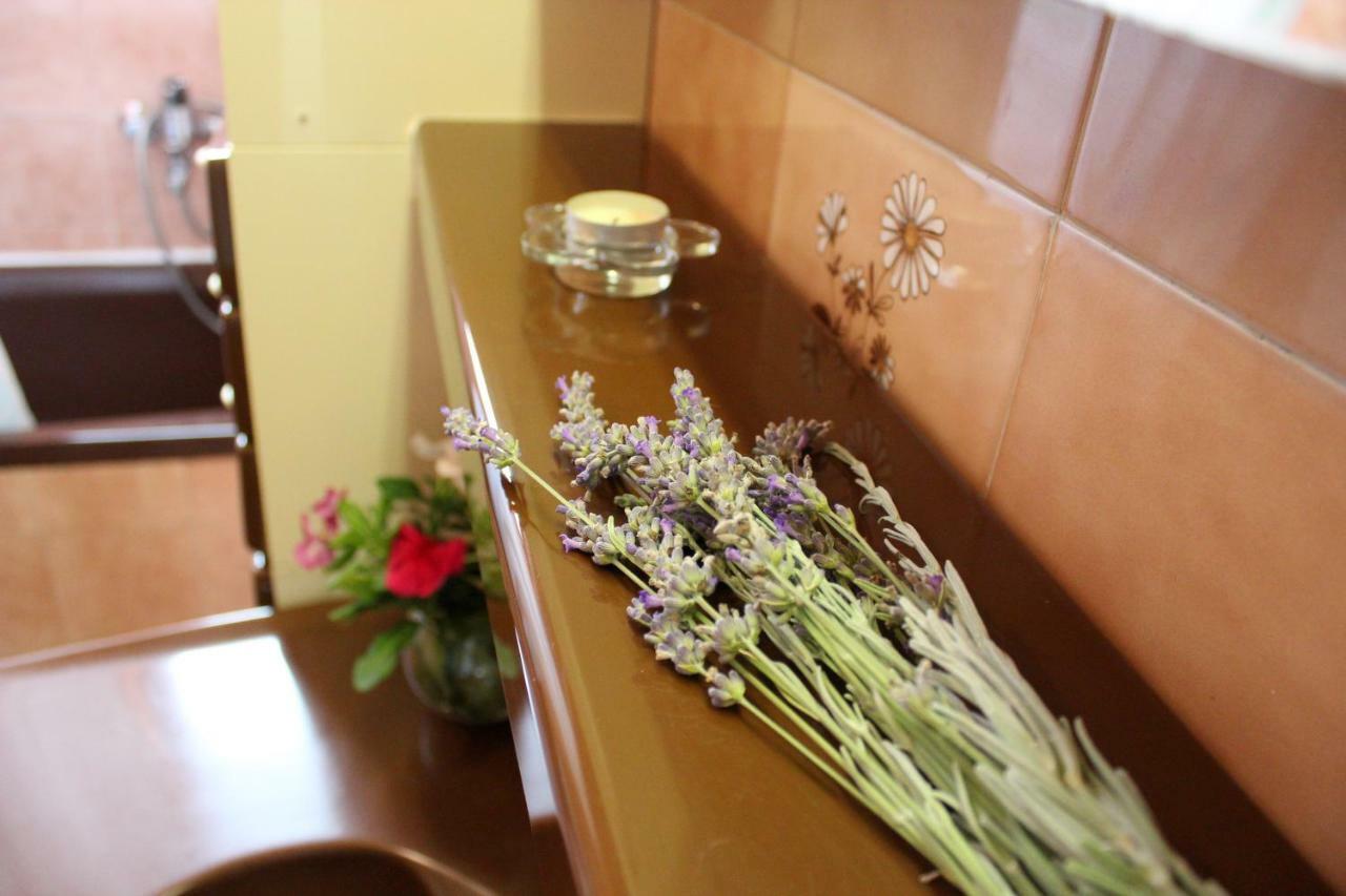 Roses Apartment Lukoran 외부 사진